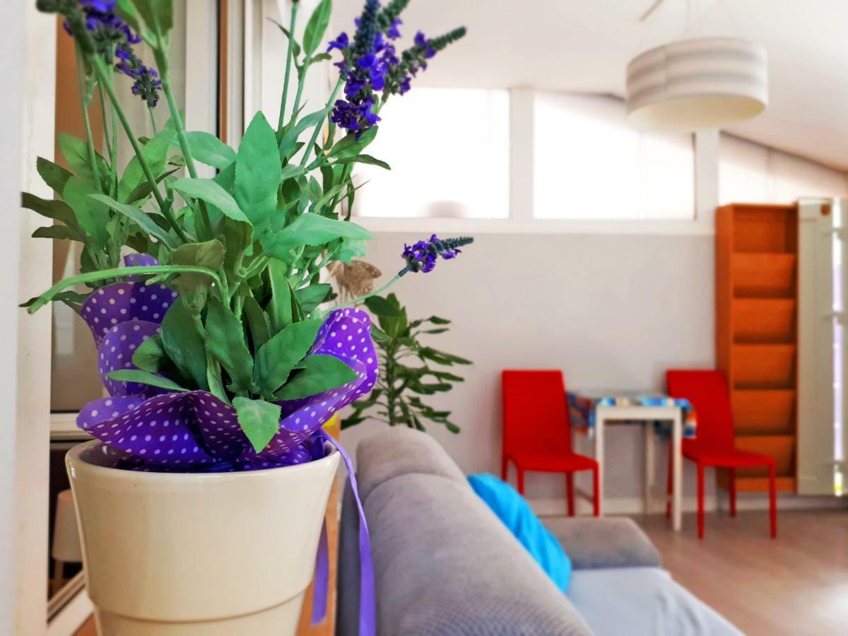 Apartment Matej Rovinjsko Selo Εξωτερικό φωτογραφία